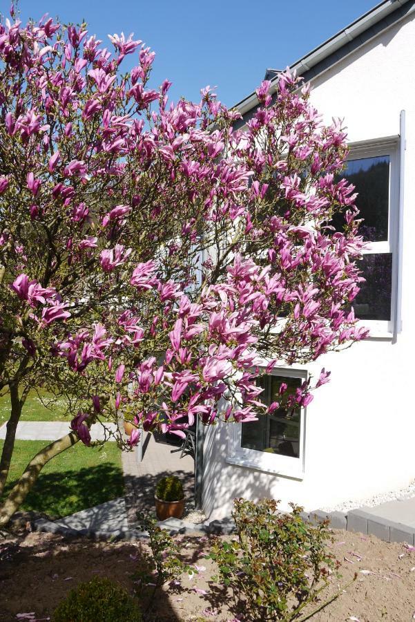 Ferienwohnung "Magnolia" Kordel Eksteriør bilde